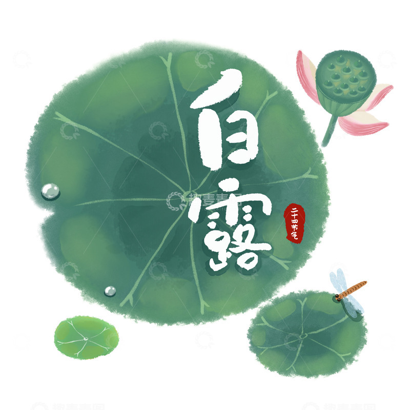 源文件下载【趣麦麦图】手绘白露荷叶蜻蜓元素