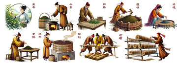 古法黑茶工艺插画流程图