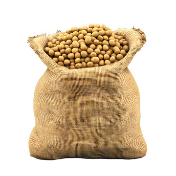 一口袋大黄豆