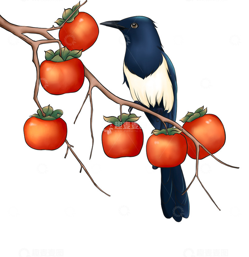 源文件下载【趣麦麦图】柿子喜鹊节气插画元素