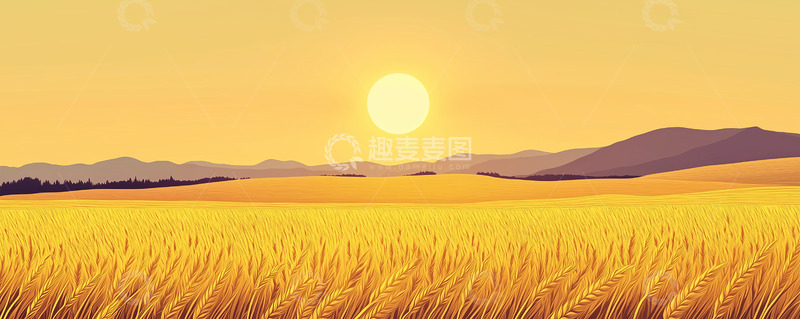 高清大图下载【趣麦麦图】黄昏景色下的麦浪芒种插画背景