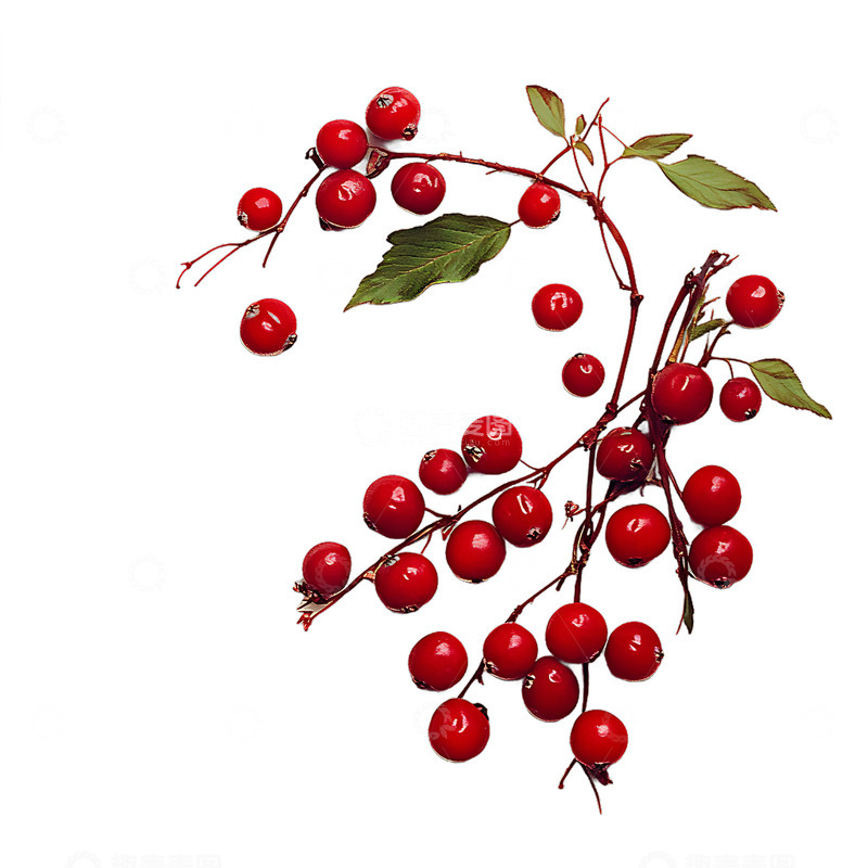 高清大图下载【趣麦麦图】红莓水果美味