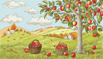 茂盛的苹果树结满满红色苹果插画