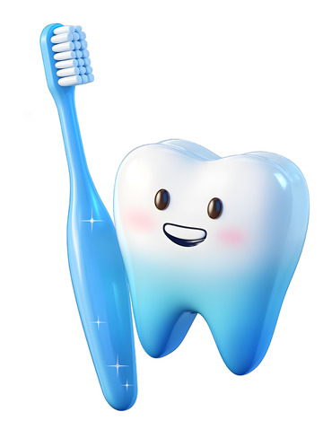 口腔卫生牙刷牙齿