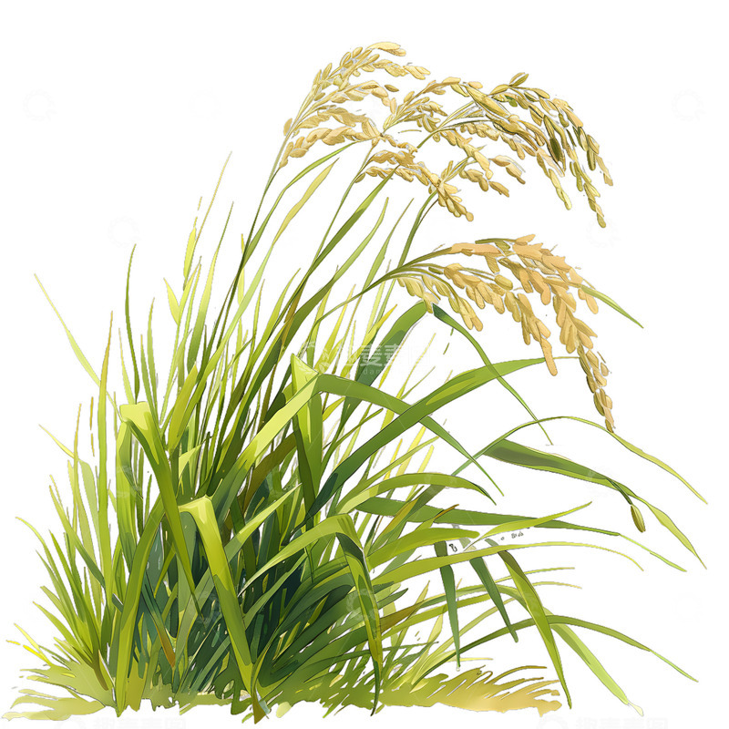 高清大图下载【趣麦麦图】水稻麦子庄稼卡通