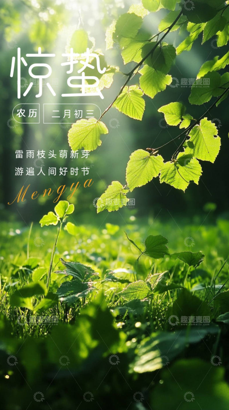 源文件下载【趣麦麦图】二十四节气之一惊蛰