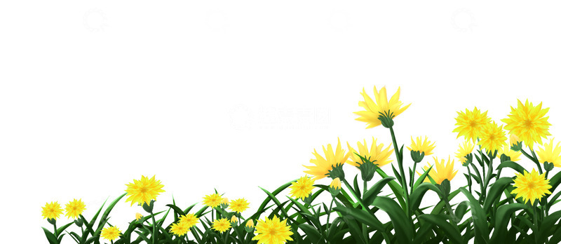 源文件下载【趣麦麦图】春天菊花花丛手绘插画元素