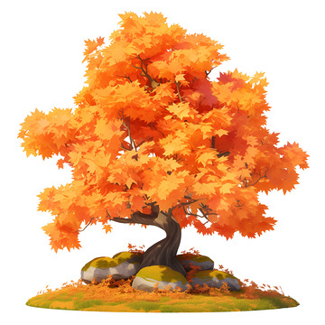 一颗茂盛的枫树