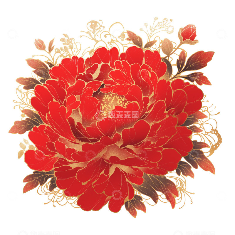 高清大图下载【趣麦麦图】红色美丽的牡丹花插画素材