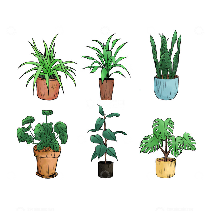 源文件下载【趣麦麦图】手绘植物元素插画