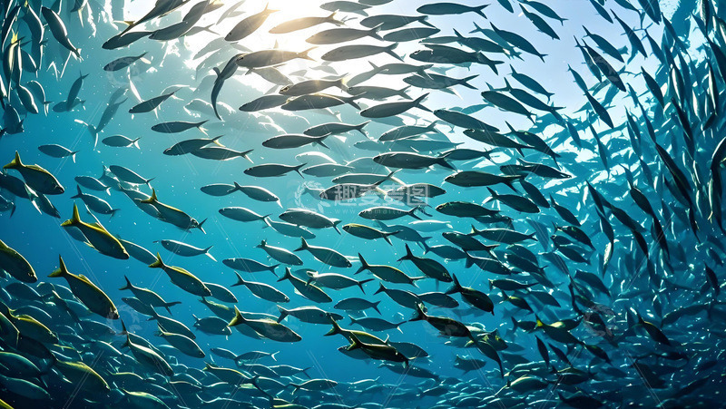 高清大图下载【趣麦麦图】海底自然风景鱼群摄影图