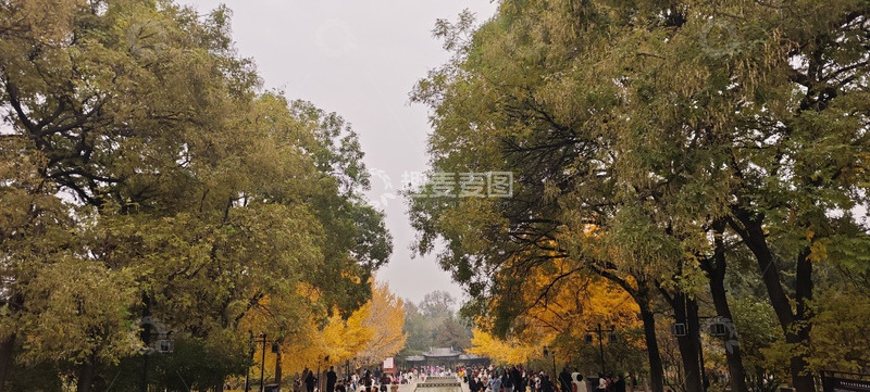 秋天的最美风景