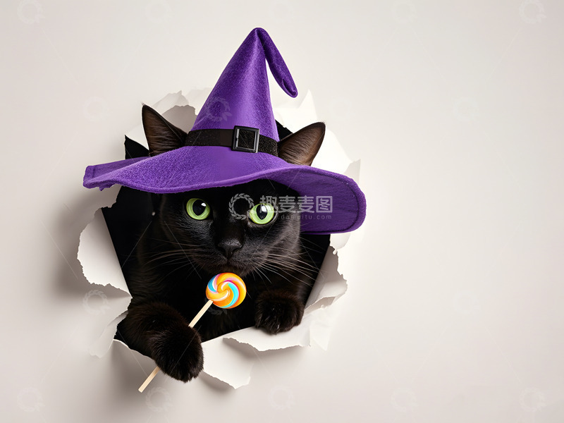 万圣节猫咪AI摄影图