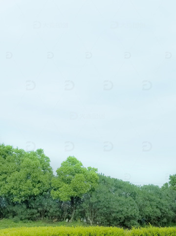 春天景色绿如山延