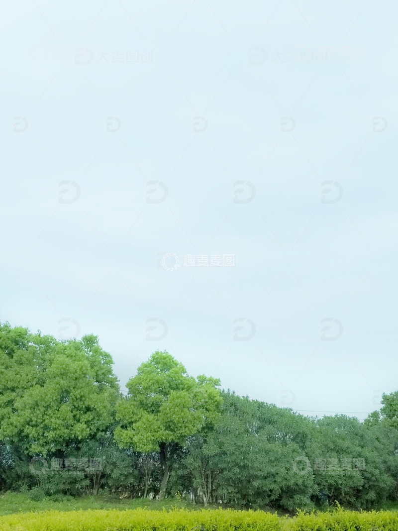 高清大图下载【趣麦麦图】春天景色绿如山延