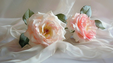 白玫瑰花婚礼婚庆静物摄影图