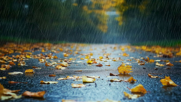 秋天 下雨 满地落叶