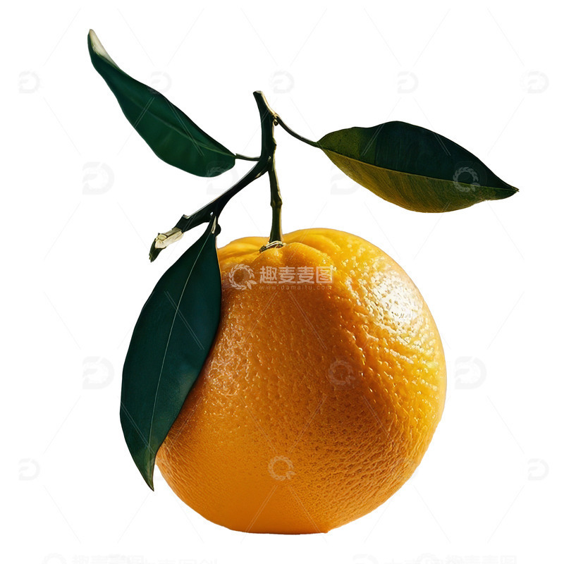摄影橙子特写元素1