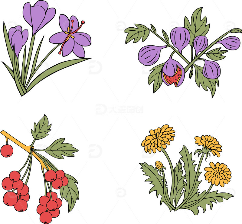 源文件下载【趣麦麦图】手绘植物花卉中药材