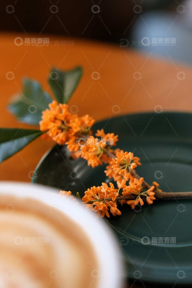 高清大图下载【趣麦麦图】金桂 桂花 咖啡