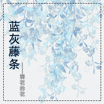 蓝灰藤条优动漫csp笔刷