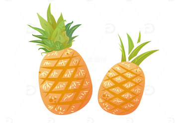 手绘菠萝凤梨包装插画