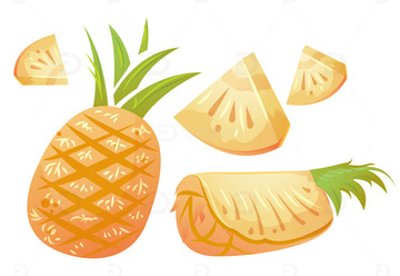 手绘菠萝切块凤梨包装插画2