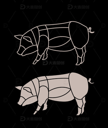 猪部位图分割矢量扁平插画图