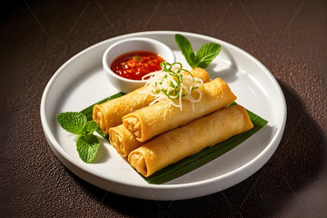 中华美食炸春卷摄影4