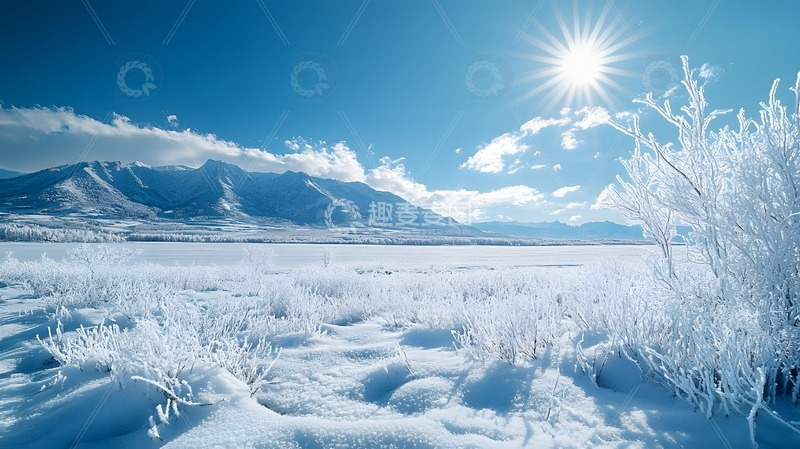 高清大图下载【趣麦麦图】冬天阳光下雪原与结霜灌木的清冷自然风景