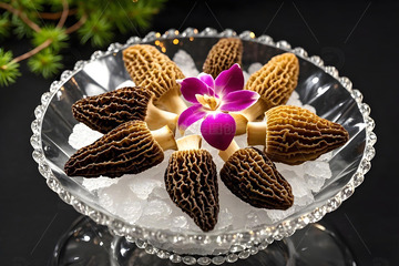 火锅食材之羊肚菌