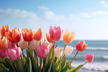 生长在海边的郁金香