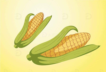 手绘卡通玉米插画1