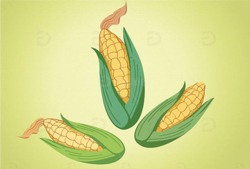 手绘卡通玉米包谷插画