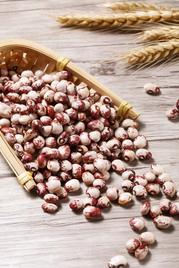  熊猫豆干货特写1