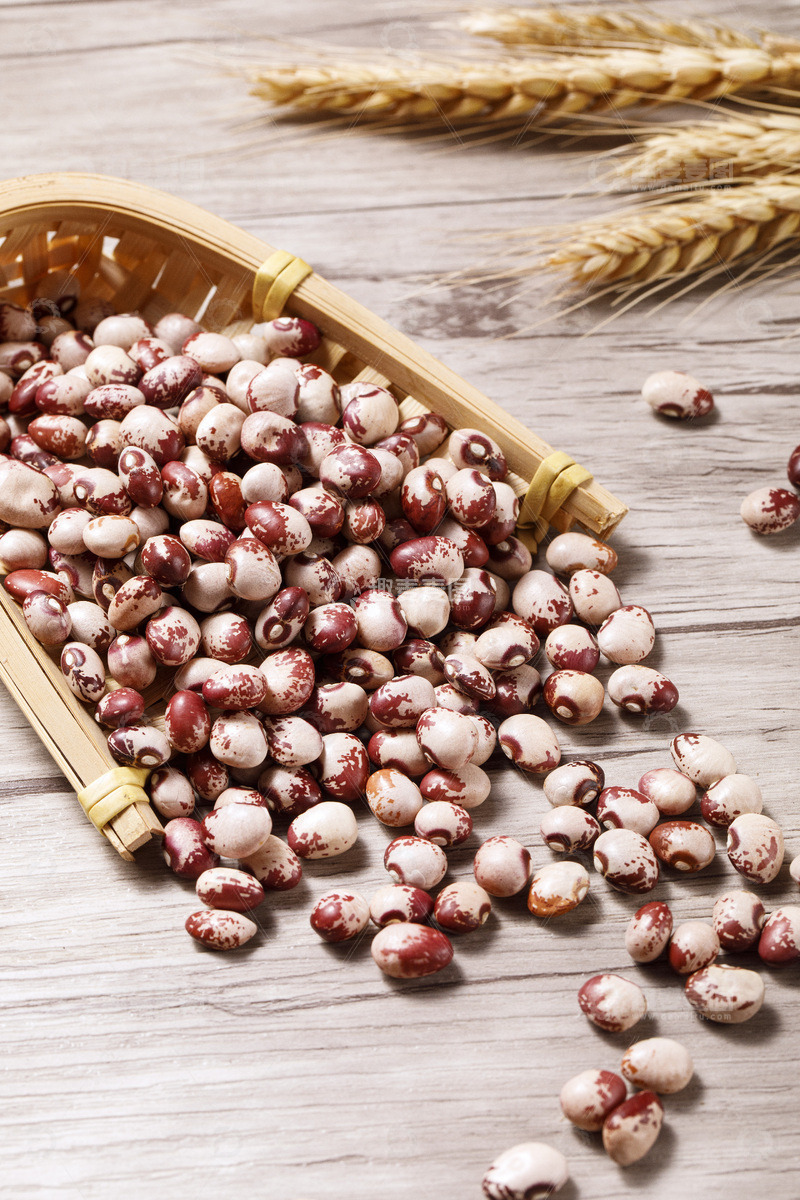 高清大图下载【趣麦麦图】 熊猫豆干货特写1