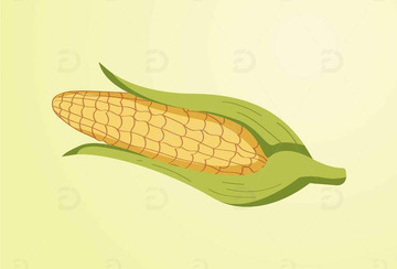 手绘卡通玉米插画