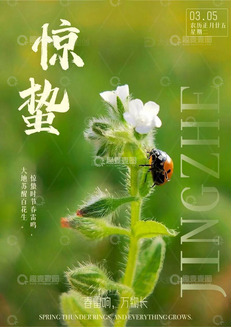 二十四节气惊蛰海报