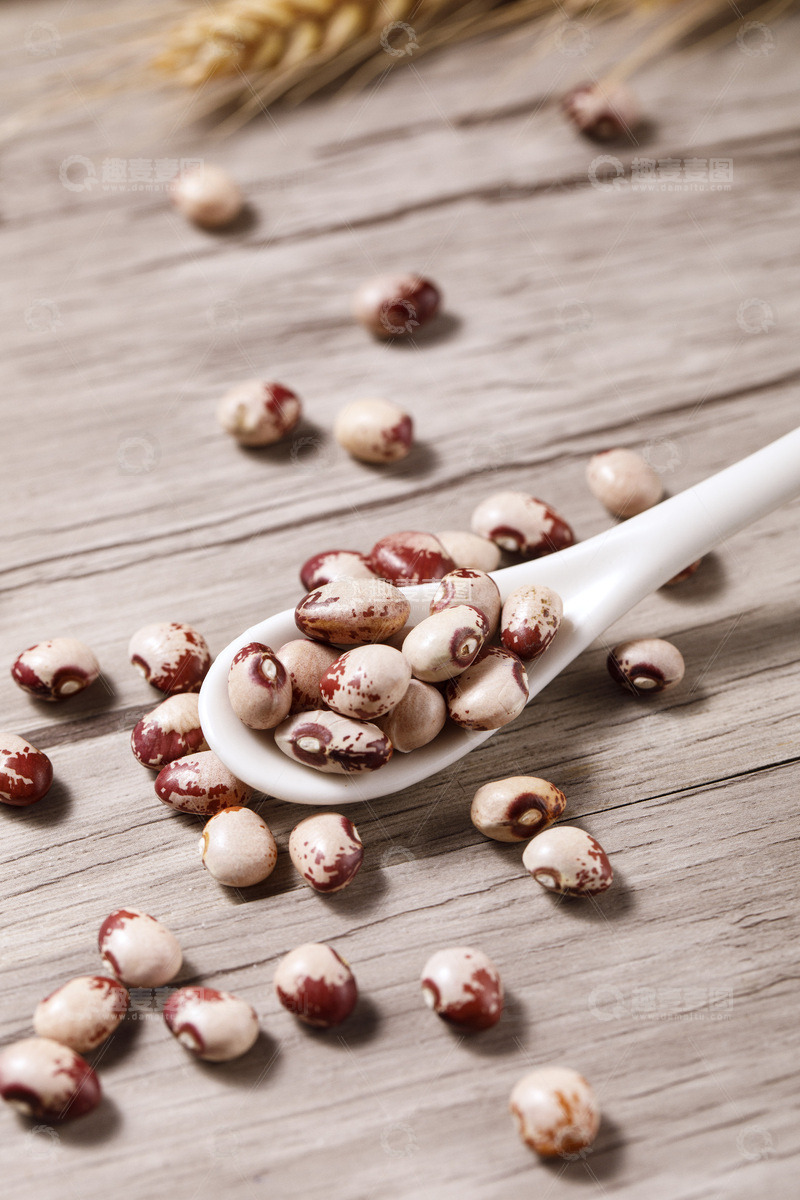 高清大图下载【趣麦麦图】- 熊猫豆干货特写7