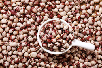  熊猫豆干货特写4