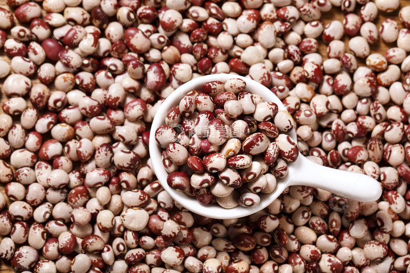 高清大图下载【趣麦麦图】 熊猫豆干货特写4