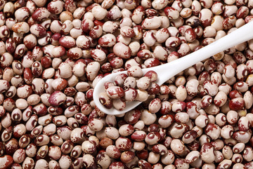  熊猫豆干货特写2