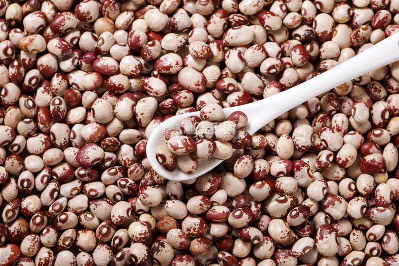 高清大图下载【趣麦麦图】- 熊猫豆干货特写2