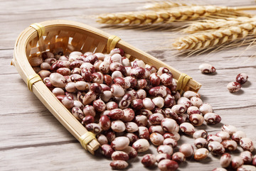  熊猫豆干货特写8