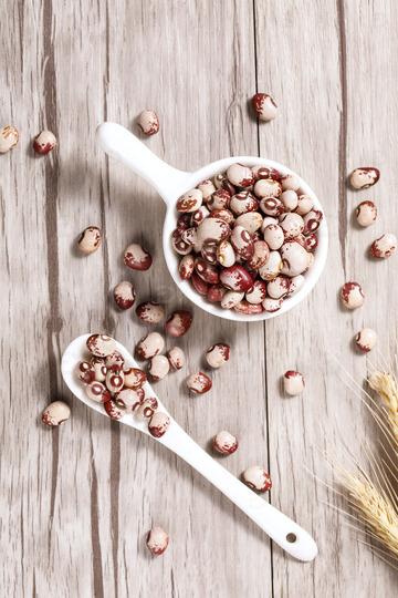  熊猫豆干货特写5