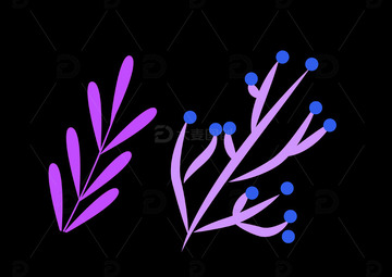 好看的手绘叶子花卉花枝图案免扣png素材3