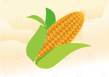 手绘玉米扁平卡通插画免扣png元素2