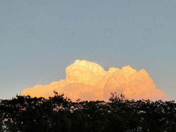 日落时大树背景上美丽的红云积聚云