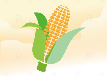 手绘玉米扁平卡通插画免扣png元素