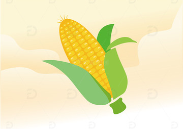 手绘玉米扁平卡通插画免扣png元素3